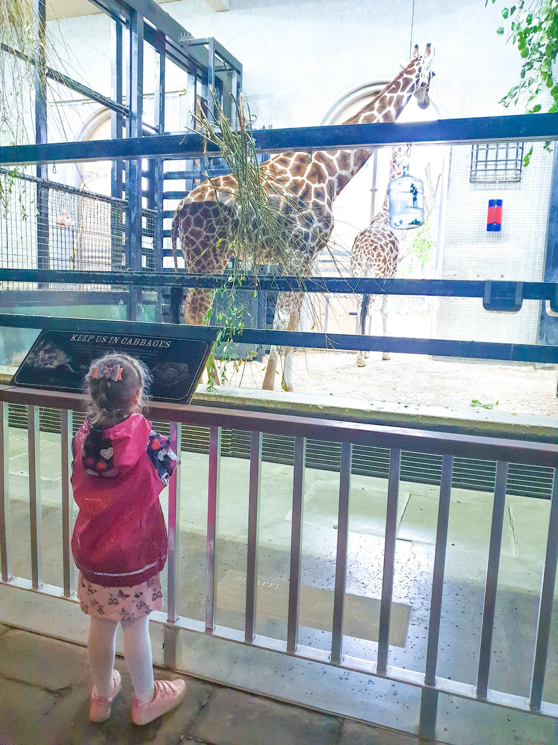 ZSL London Zoo | Days Out in London | Me Becoming Mum
